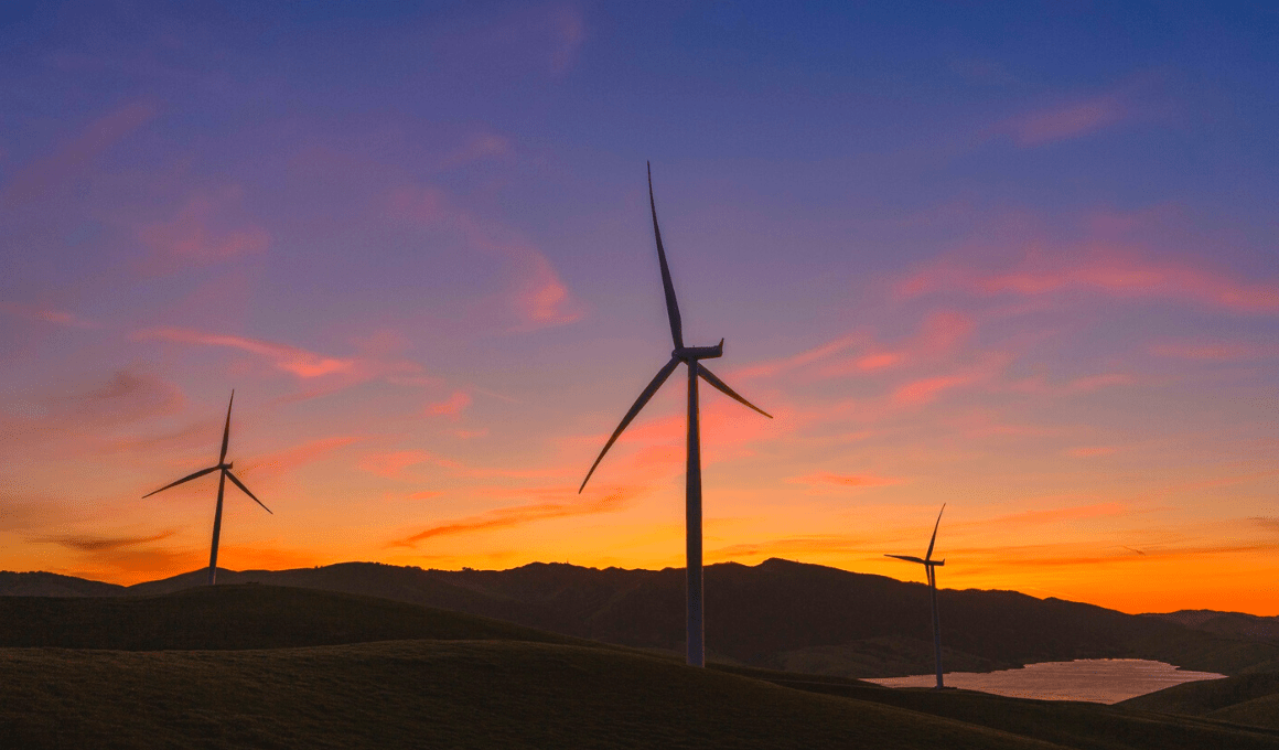 fair wind　38 20240419_095958.jpg